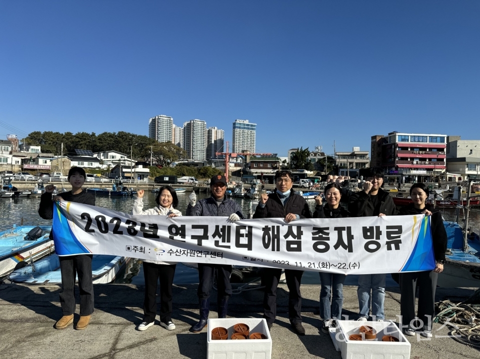 기장군수산자원연구센터에서 자체 연구 생산한 해삼종자를 마을어장에서 방류하고 있다ⓒ양산타임스