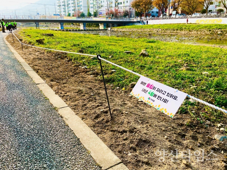 덕계동 튤립 꽃길 조성ⓒ양산타임스