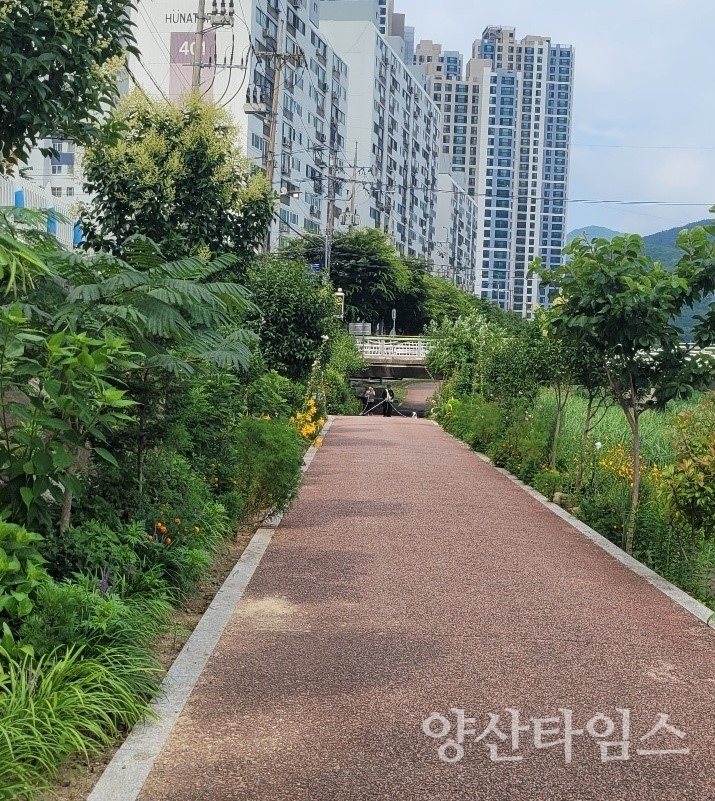 "안영춘씨가 직접 가꾼 회야강변" "시정발전유공 수상한 안영춘씨" ⓒ양산타임스