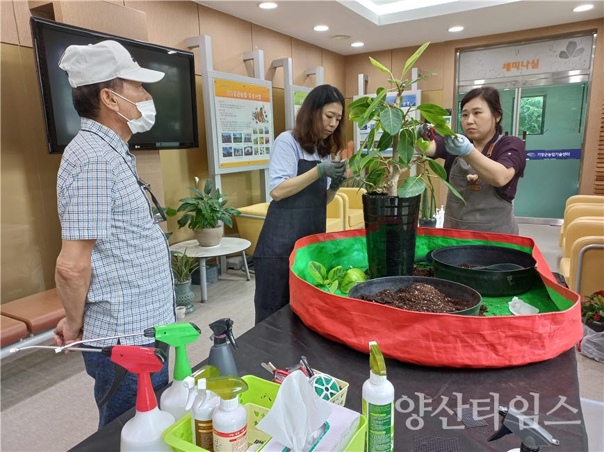 지난해 농업기술센터에서 진행한 반려식물 클리닉 사진ⓒ양산타임스