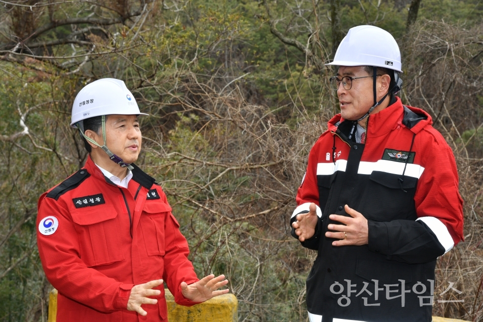 울주군, 봄철 소나무 재선충병 방제 총력ⓒ양산타임스