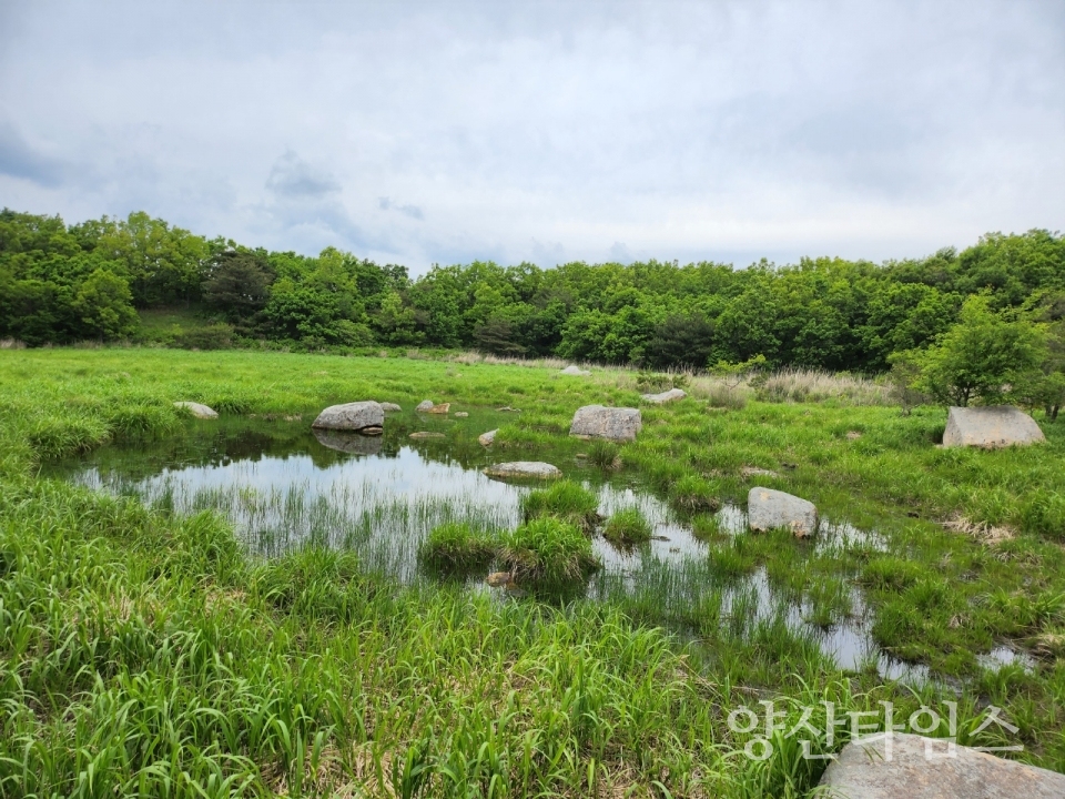 양산 능걸산 산지습지ⓒ양산타임스