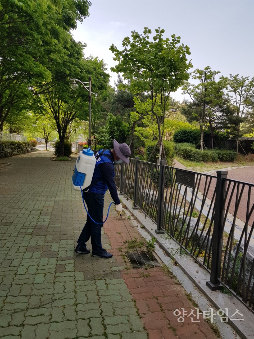 보건소 유충구제 방역ⓒ양산타임스