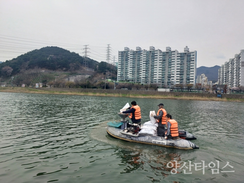 양산천 저질개선사업ⓒ양산타임스