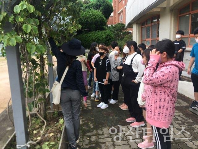 녹색환경학교 운영ⓒ양산타임스