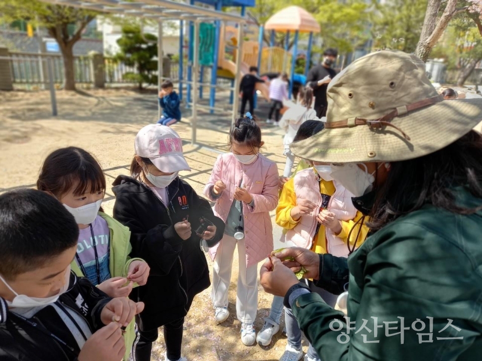 녹색환경학교 운영ⓒ양산타임스