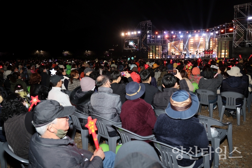 물금벚꽃축제ⓒ양산타임스