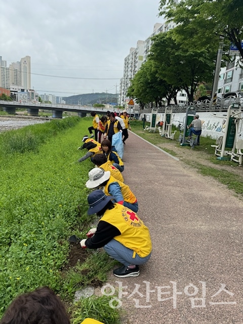 평산동 환경정비 국토대청소ⓒ양산타임스