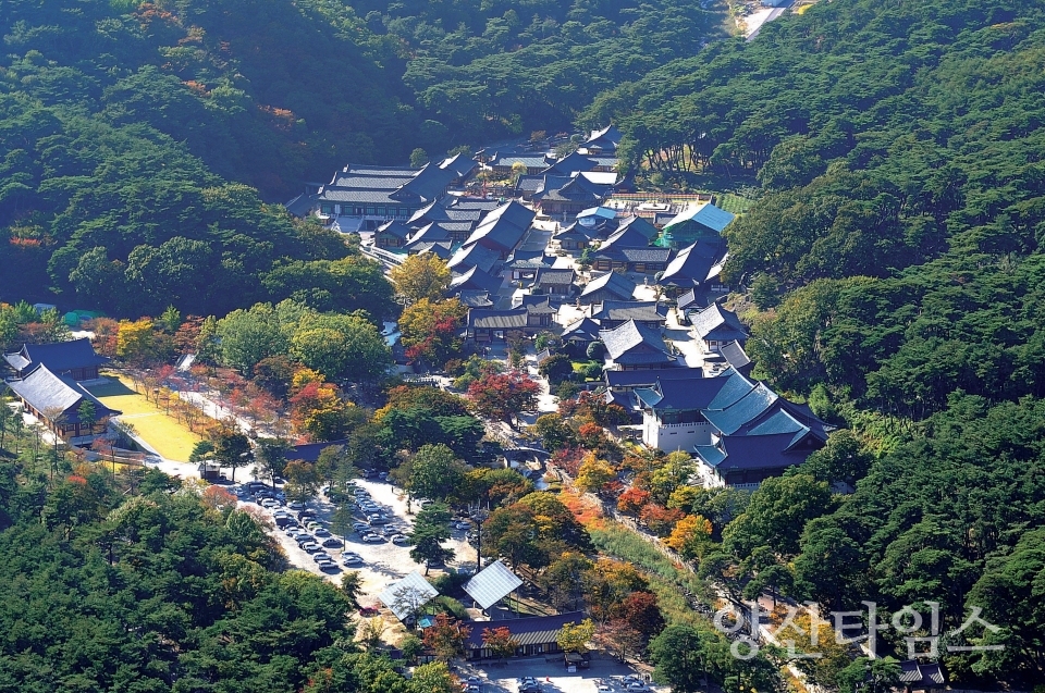 "통도사 전경" "통도사 무풍한송길" ⓒ양산타임스