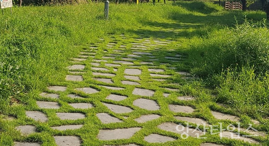 "오리소공원 디딤돌 철거후 적재" "오리소공원 디딤돌 철거전" ⓒ양산타임스