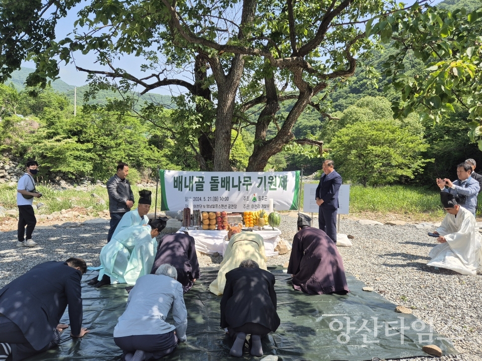 상북면 이천리 개발위, ‘2024년 배내골 돌배 기원제’ 첫 개최ⓒ양산타임스