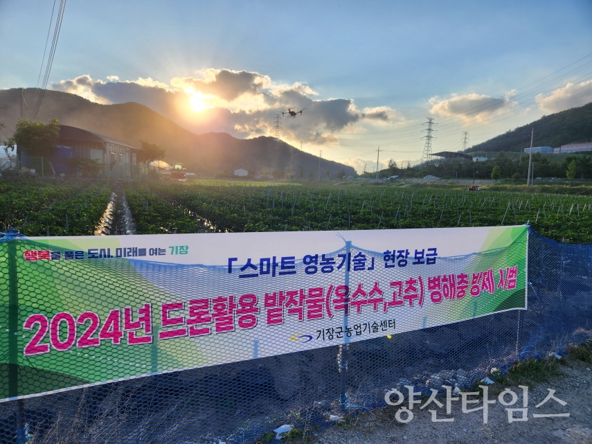 드론 활용 밭작물 병해충 방제 현장ⓒ양산타임스
