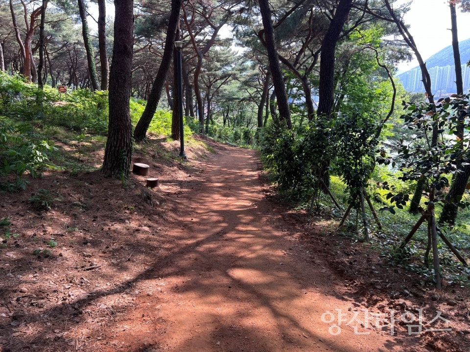 디자인공원 맨발산책로ⓒ양산타임스