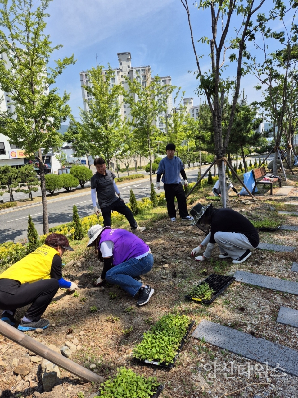 소주동 소공원 꽃심기ⓒ양산타임스