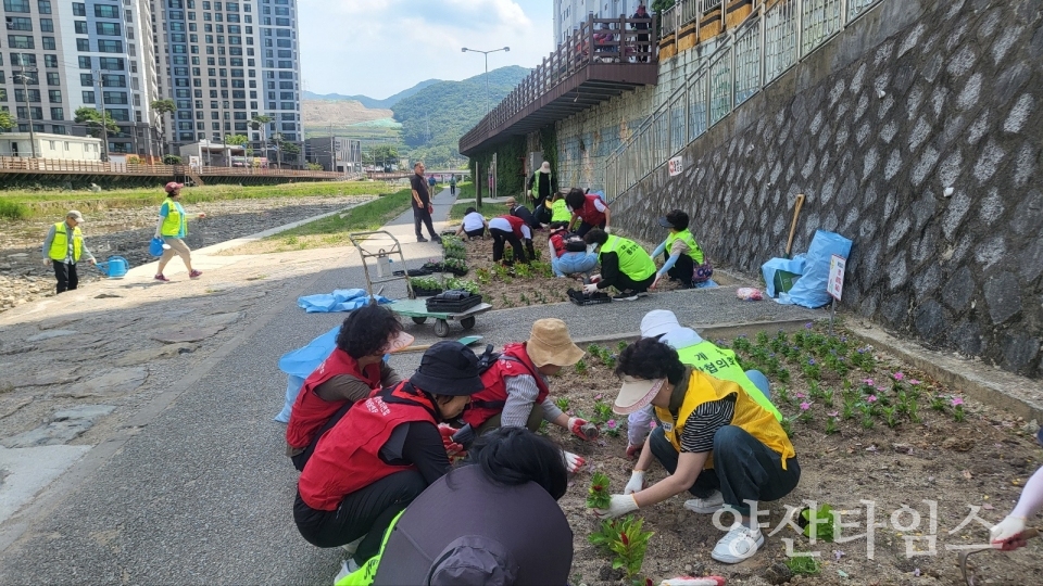 "덕계동 민관 합동 국토대청소" "덕계동 민관 합동 국토대청소(꽃식재)" "덕계동 민관 합동 국토대청소(불법 광고물 흔적 정비)" ⓒ양산타임스