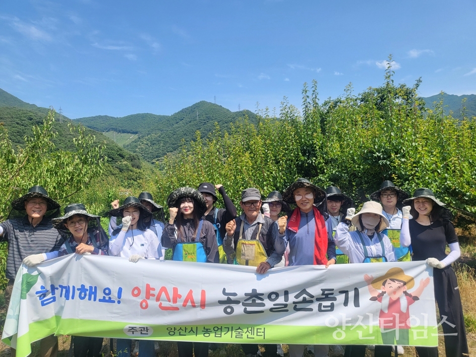농업기술센터 여름철 농가 일손돕기ⓒ양산타임스