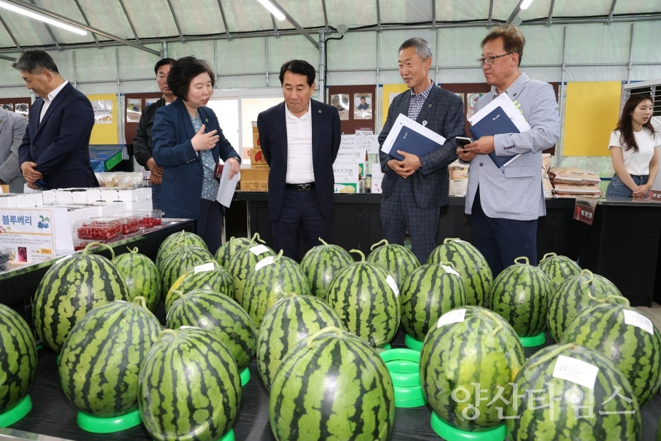 양산시 로컬푸드 임시직매장ⓒ양산타임스