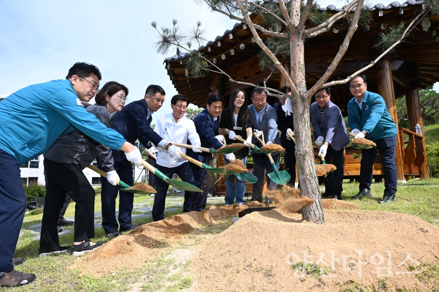 "2-2.정종복 기장군수(우측 다섯번째)와 기장군의회 의원 등이 기장군청사 내 정이품송 자목의 기념식수를 진행했다." "2-1.정종복 기장군수(좌측 네번째)와 기장군의회 의원 등이 기장군청사 내 정이품송 자목의 기념식수를 하고 있다." ⓒ양산타임스