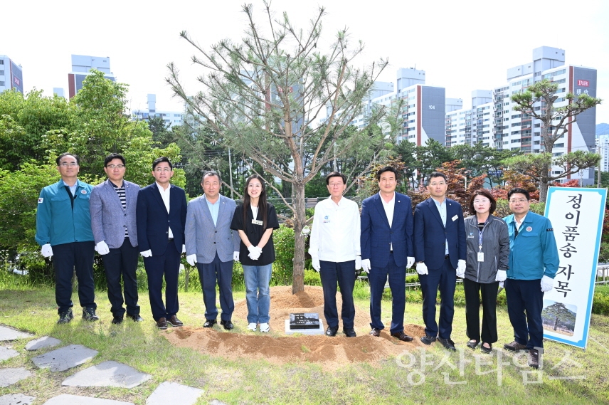 "2-2.정종복 기장군수(우측 다섯번째)와 기장군의회 의원 등이 기장군청사 내 정이품송 자목의 기념식수를 진행했다." "2-1.정종복 기장군수(좌측 네번째)와 기장군의회 의원 등이 기장군청사 내 정이품송 자목의 기념식수를 하고 있다." ⓒ양산타임스