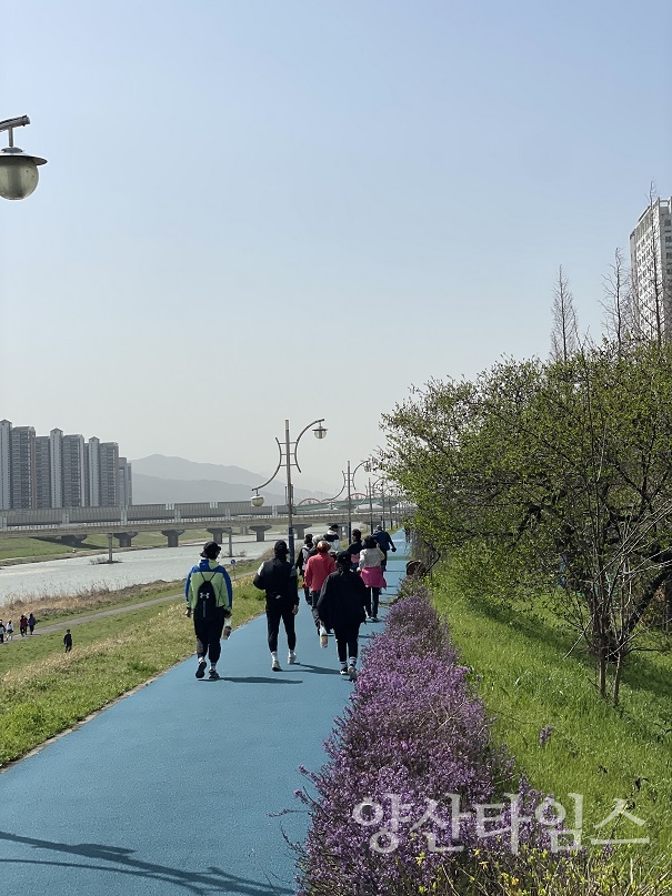 양산사랑 건강걷기 3차 접수ⓒ양산타임스