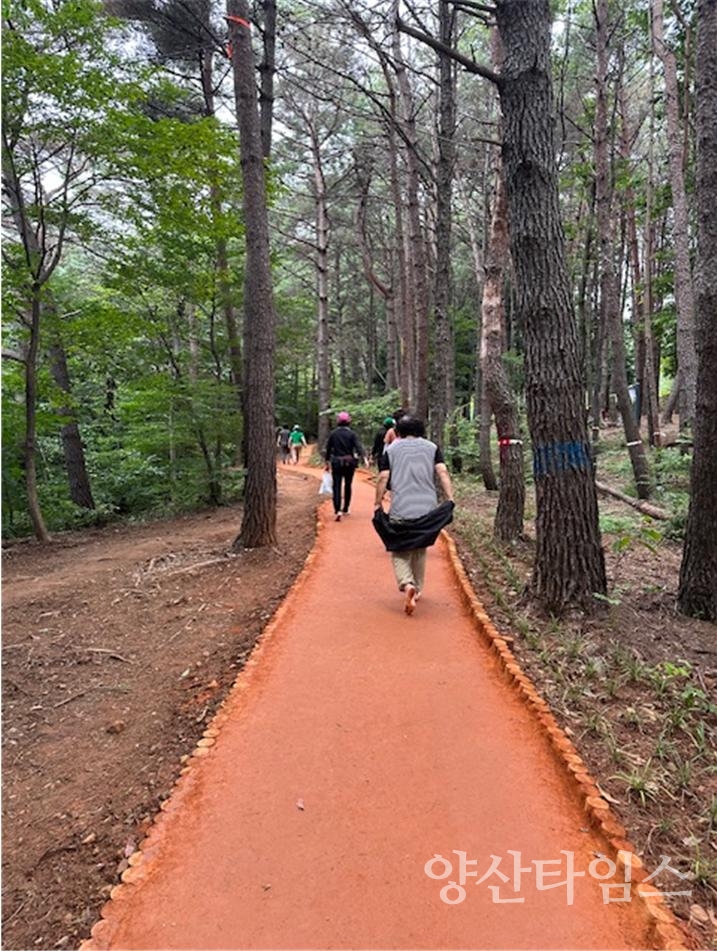 웅상체육공원 솔밭황톳길ⓒ양산타임스