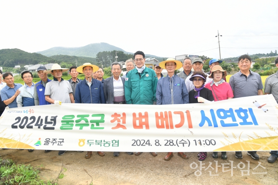 울주군, ‘풍년 기원’ 올해 첫 벼 베기 실시ⓒ양산타임스
