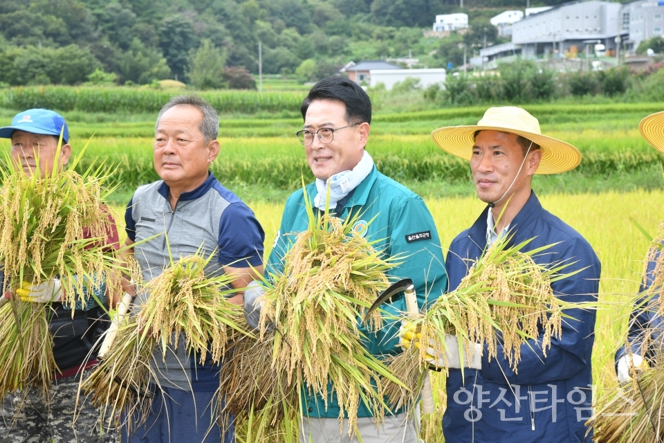 울주군, ‘풍년 기원’ 올해 첫 벼 베기 실시ⓒ양산타임스