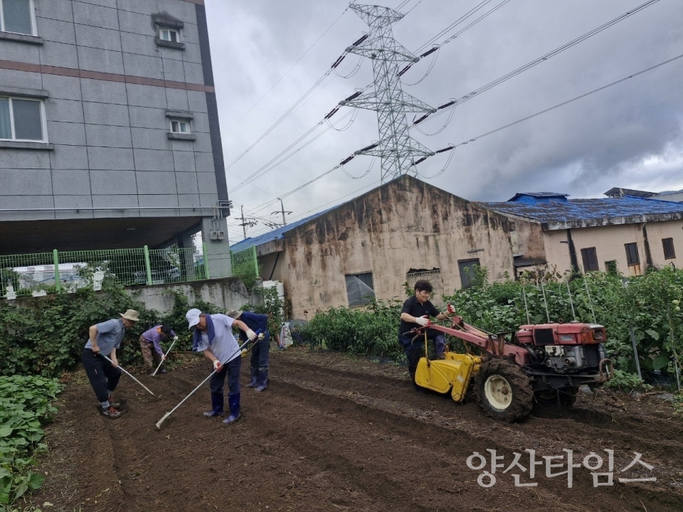평산동 십시일반 텃밭 가꾸기ⓒ양산타임스
