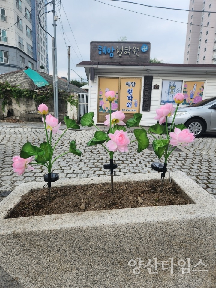 통도사 문화예술거리 태양광 연꽃ⓒ양산타임스