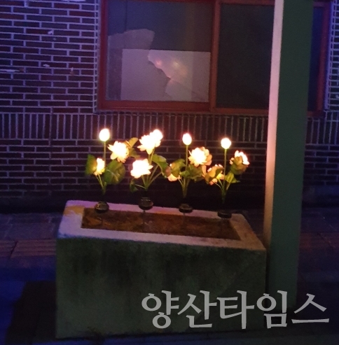 통도사 문화예술거리 태양광 연꽃ⓒ양산타임스