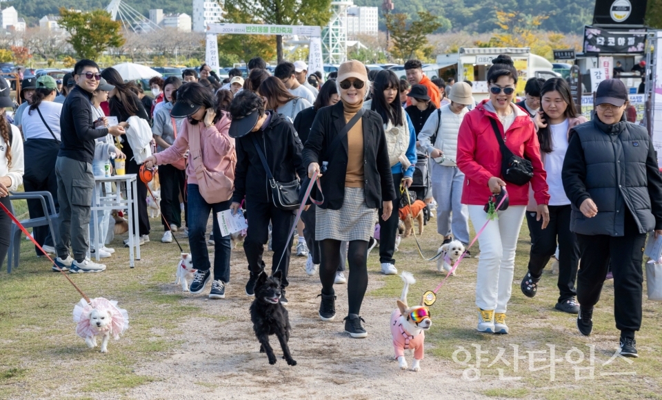 2024 양산시 반려동물 문화축제ⓒ양산타임스
