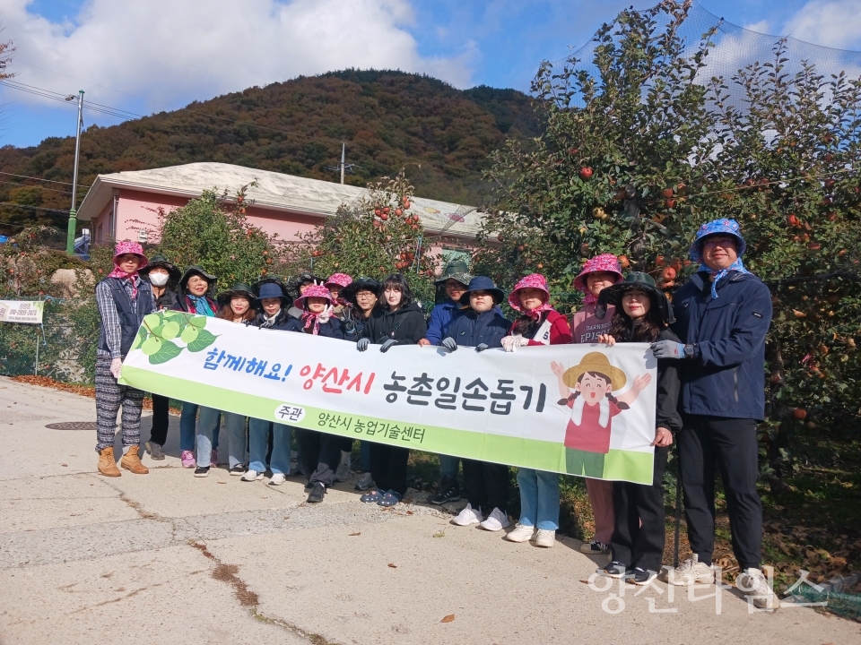 가을철 농촌 일손돕기ⓒ양산타임스