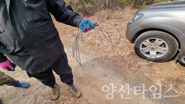 불법 밀렵 도구인 올무ⓒ양산타임스