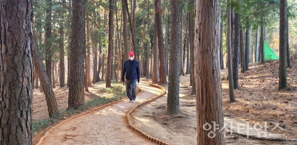 웅상체육공원 솔밭황톳길ⓒ양산타임스