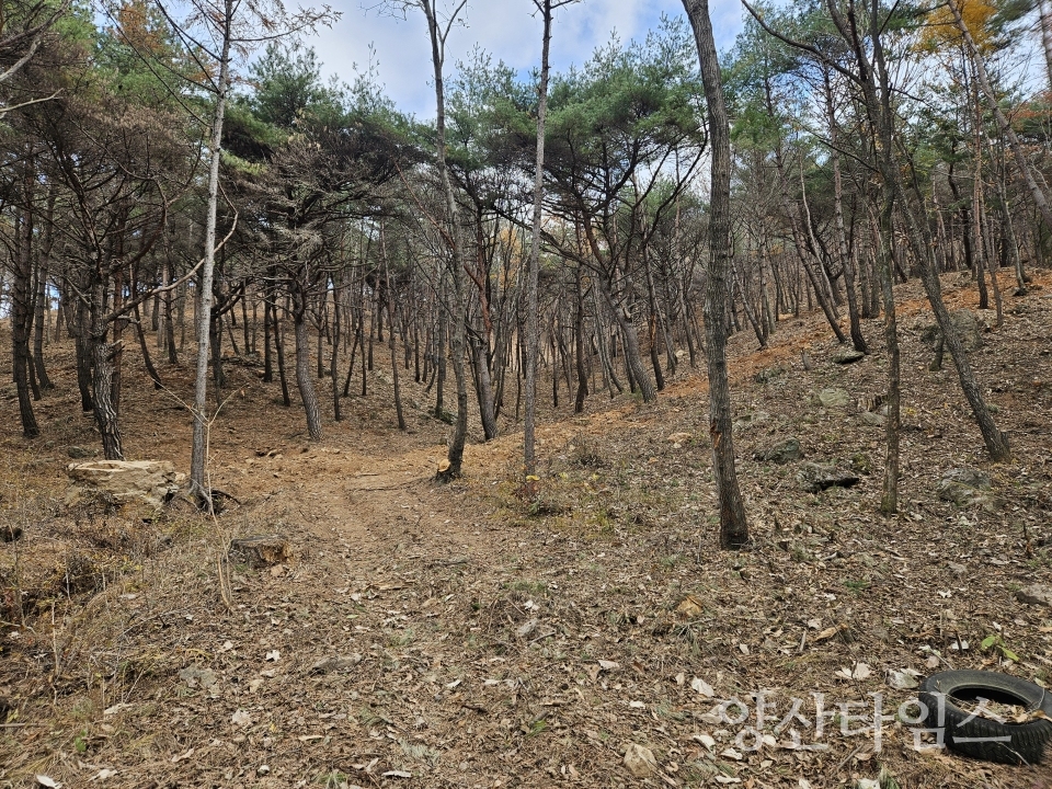 산불예방 숲가꾸기 사업ⓒ양산타임스