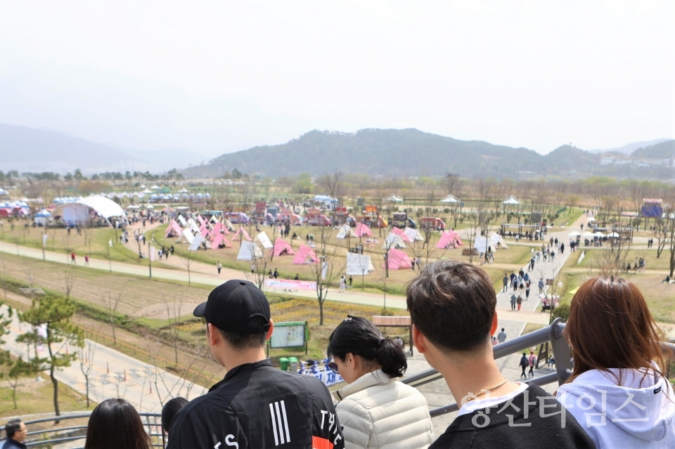 2024 물금벚꽃축제ⓒ양산타임스