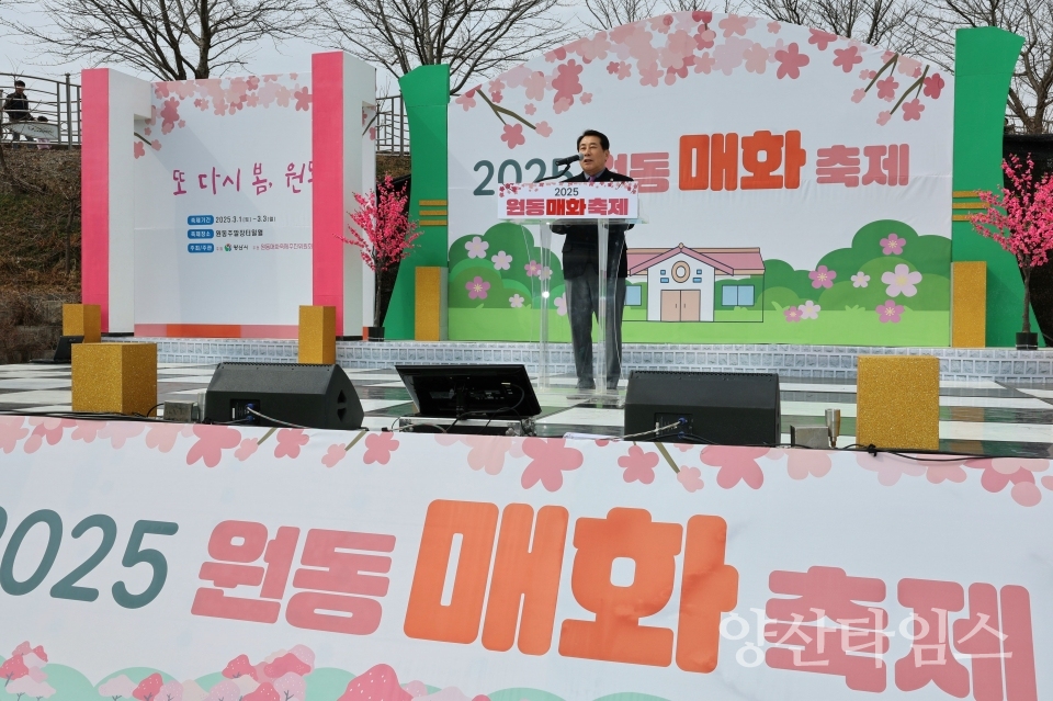 원동매화축제ⓒ양산타임스