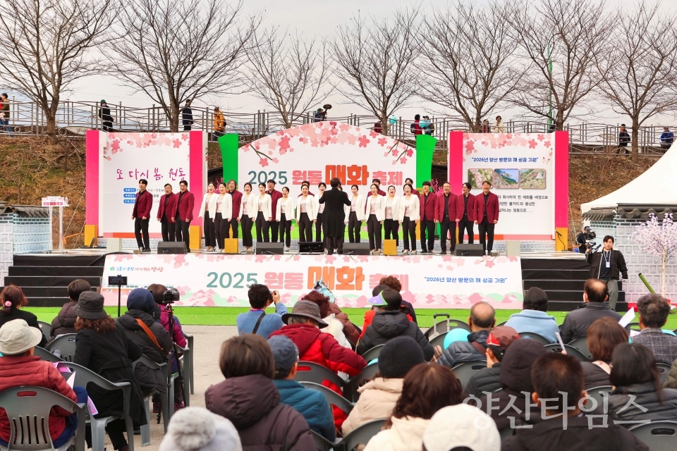 원동매화축제ⓒ양산타임스