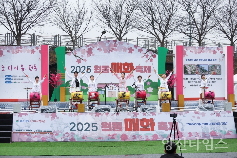 원동매화축제ⓒ양산타임스