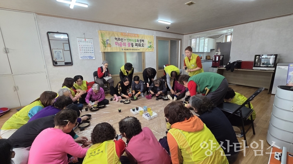 삼성동 어르신 반려식물 지원사업ⓒ양산타임스
