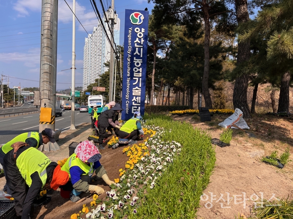 봄맞이 꽃길 조성ⓒ양산타임스