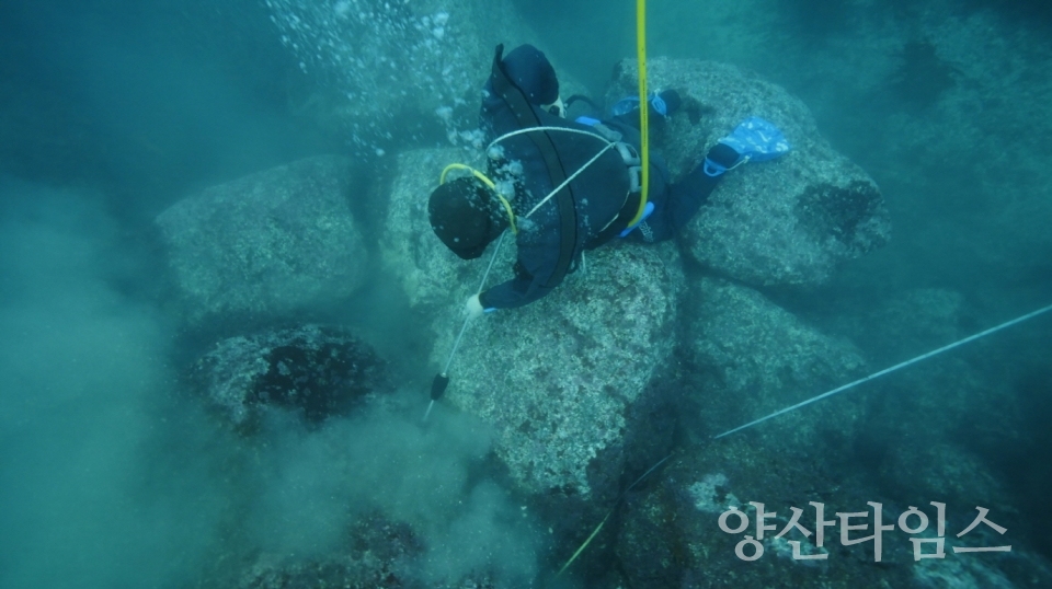 1-1.일광읍 동백리 해역 연안에서 해조류 이식을 위한 작업(부착기질 개선)이 진행되고 있다.ⓒ양산타임스