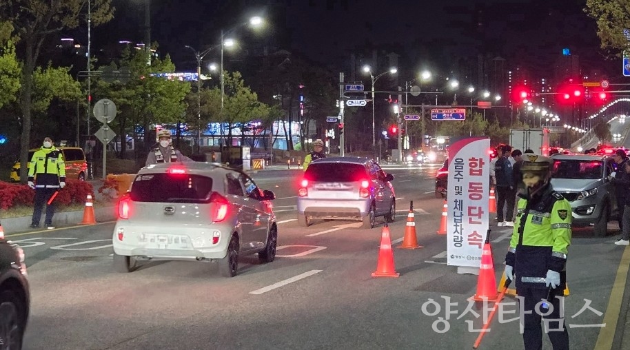 음주 및 체납차량 합동단속ⓒ양산타임스