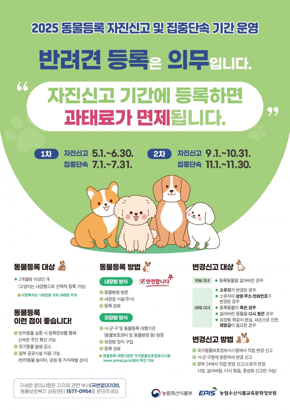 동물등록 자진신고 안내 포스터ⓒ양산타임스