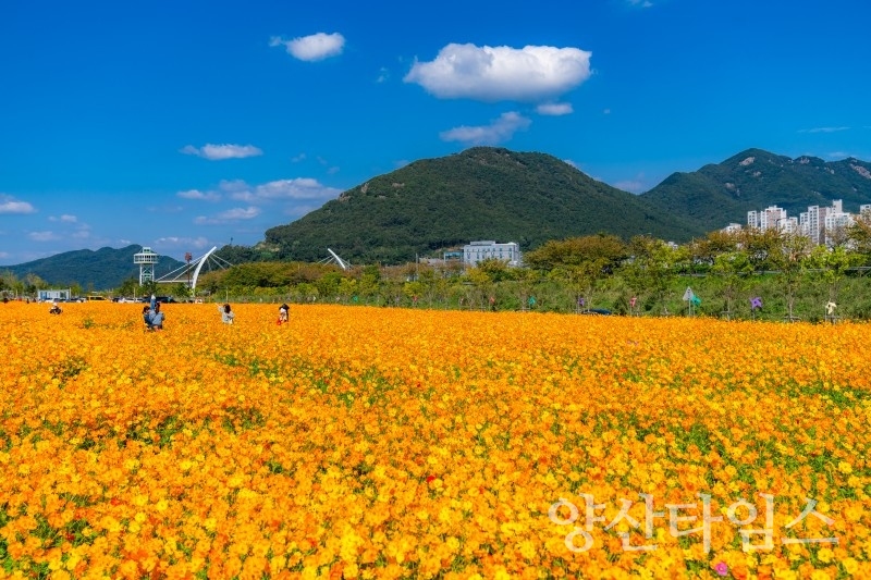 강변 산책로 야생화단지ⓒ양산타임스