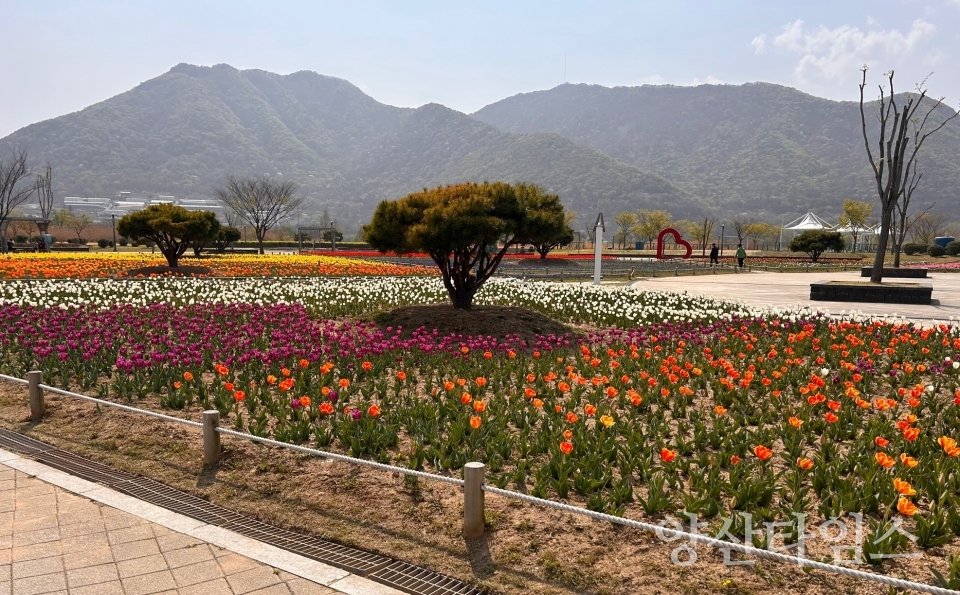 강변 산책로 야생화단지ⓒ양산타임스