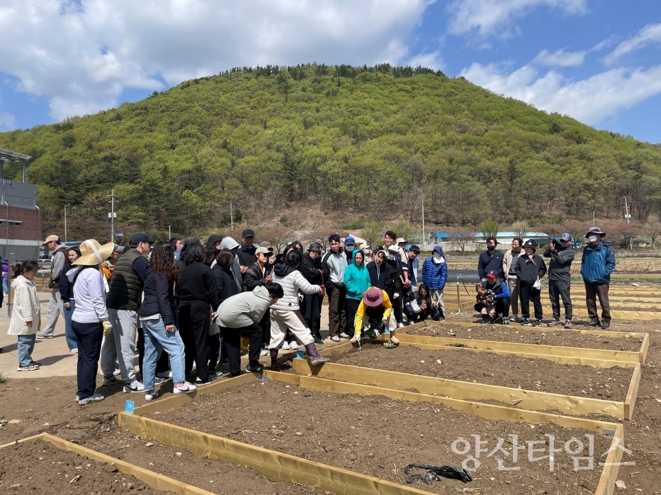 가족사랑 텃밭교실 운영ⓒ양산타임스