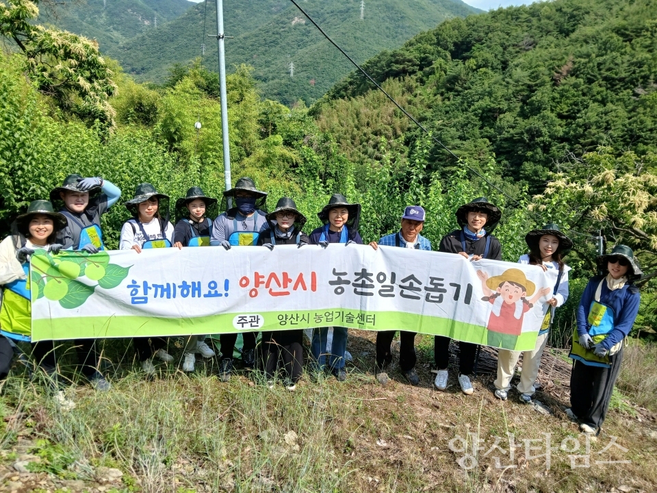 농업기술센터 매실농가 일손돕기ⓒ양산타임스