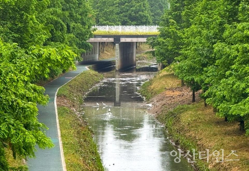 새들천공원 준설공사 후 사진ⓒ양산타임스