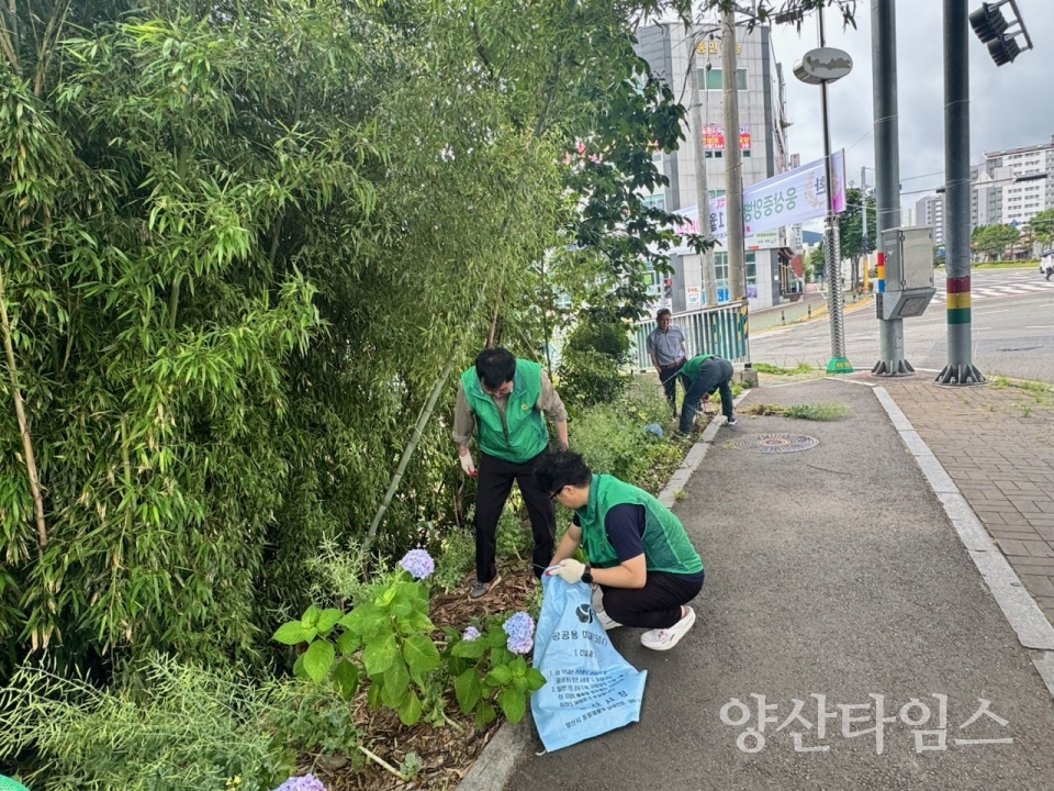 평산동 환경정비 국토대청소ⓒ양산타임스